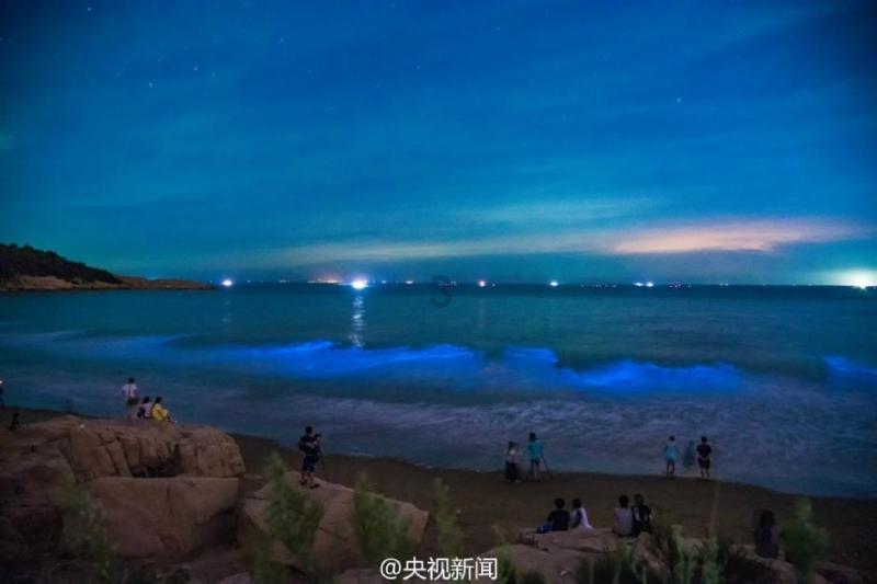 神秘的岛屿