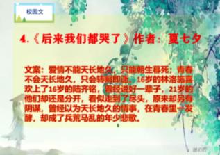 救援袋鼬